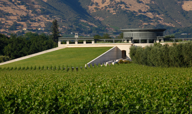 Napa Valley: A Synergy of Structure and Balance