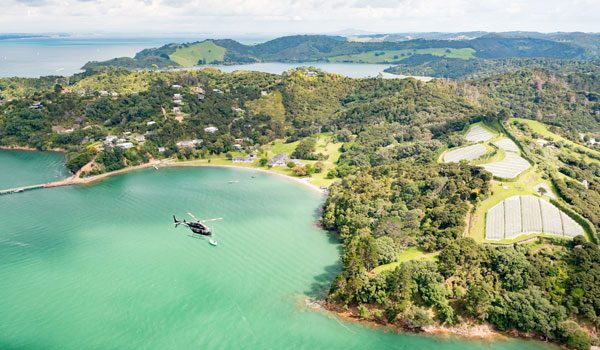 New Zealand Sight