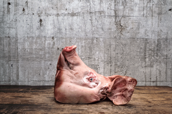 Rossoblu's pig for roasted suckling pig