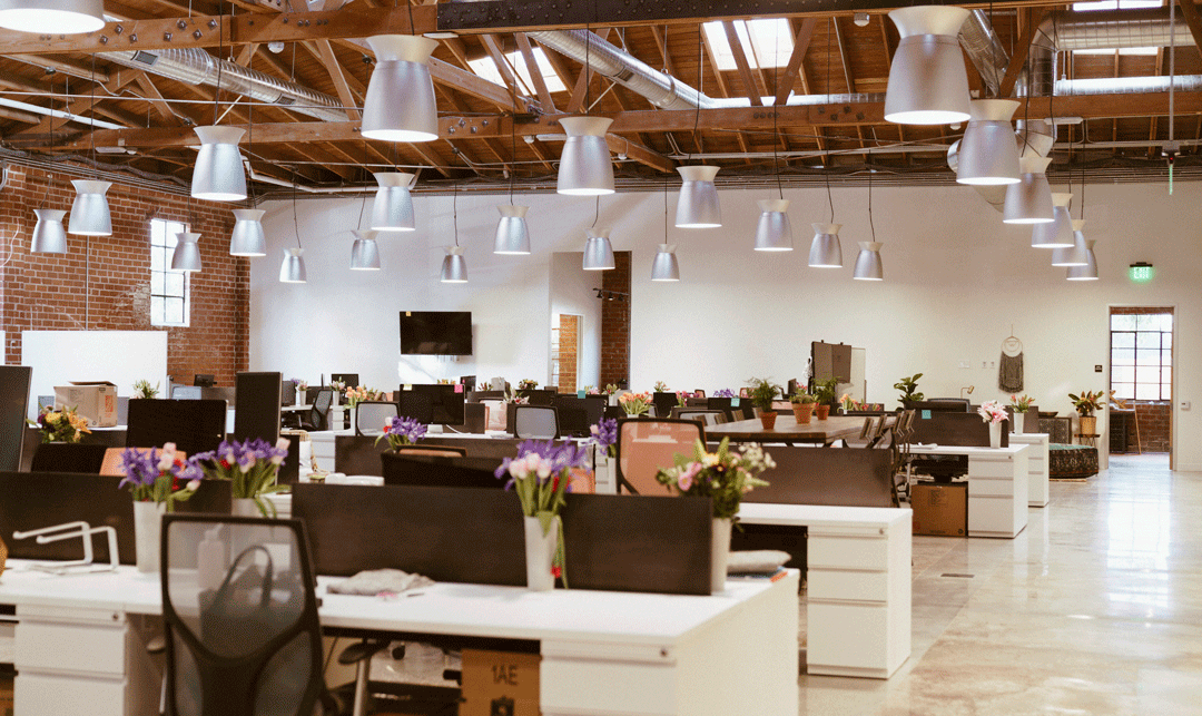 Innovative Office: The Bouqs Co.